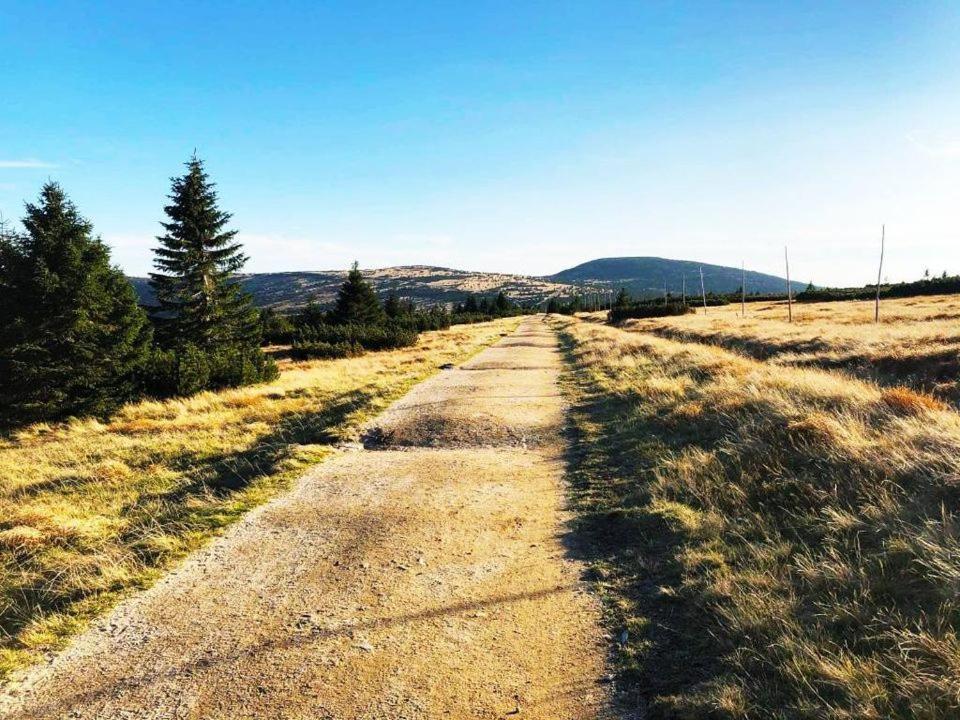 Harrachov Resident Apartments "Terrace & Chill" - High Speed Wifi, Smart Tv, Netflix, Disney Plus Εξωτερικό φωτογραφία