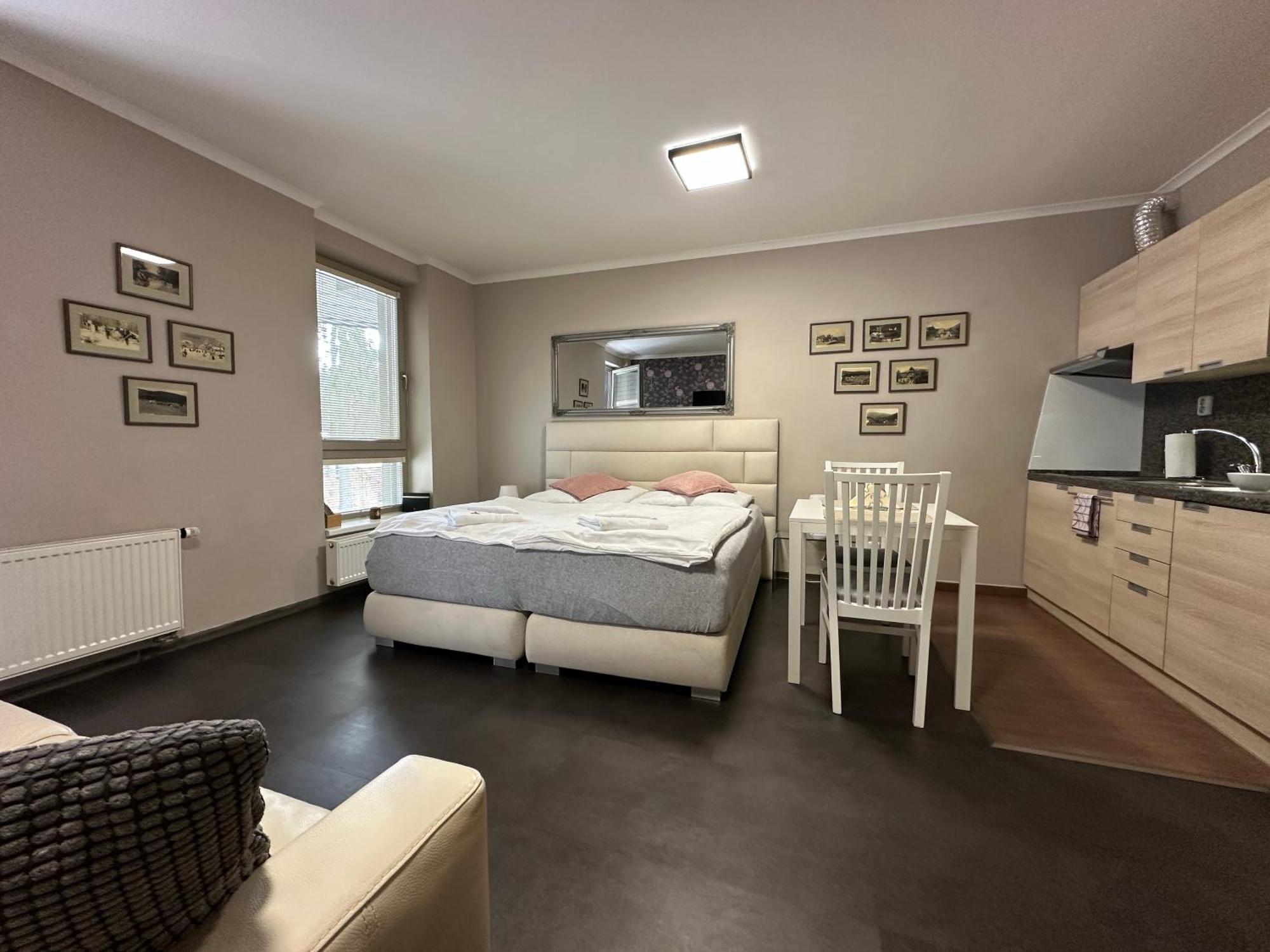 Harrachov Resident Apartments "Terrace & Chill" - High Speed Wifi, Smart Tv, Netflix, Disney Plus Εξωτερικό φωτογραφία